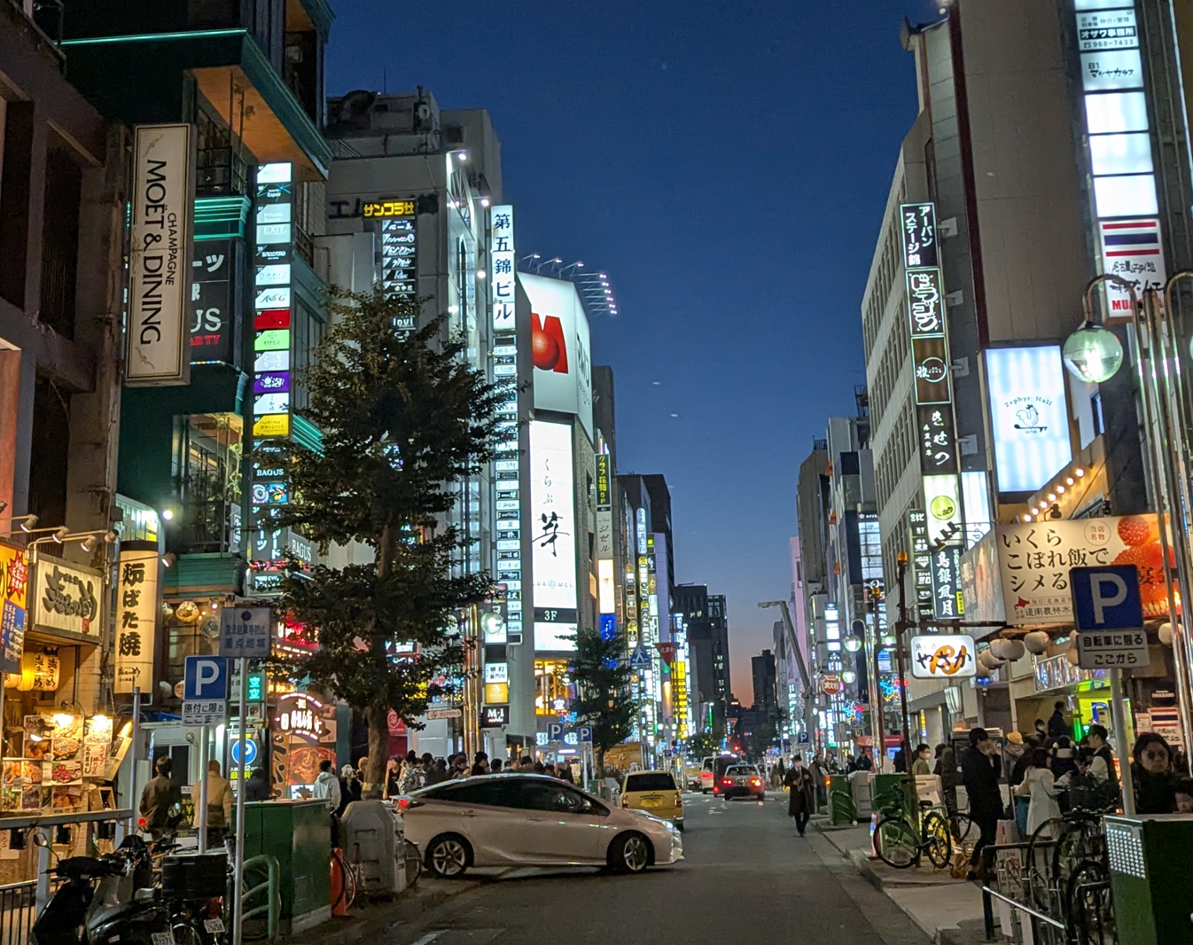 錦